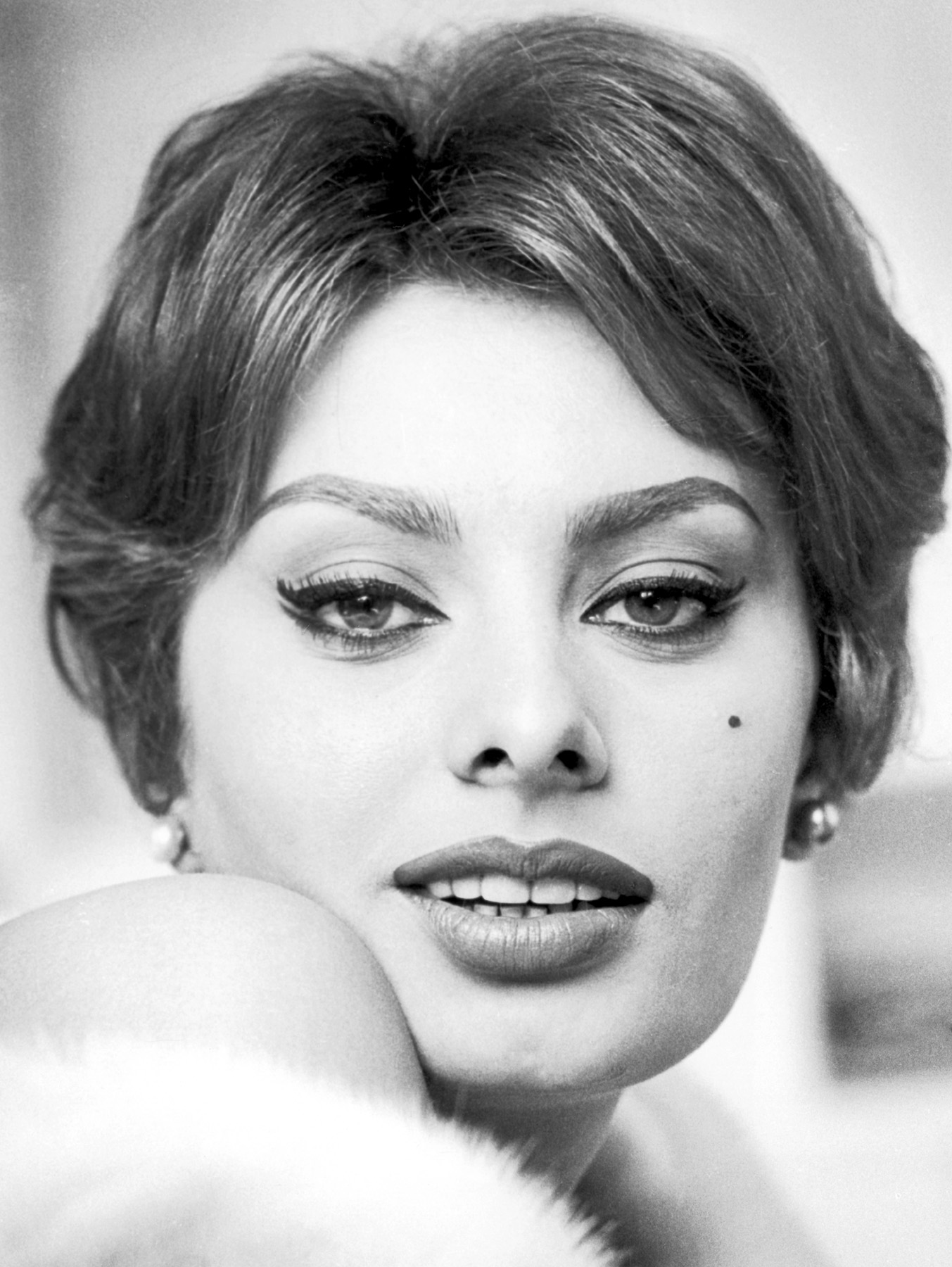 Sophia Loren-Annex